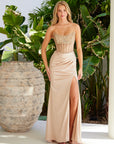 MESMERIZING LONG DRESS THAT FEATURES A SMALL TRAIN SHEER BONED TOP_A1596