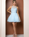 Short Tulle Dress with Embroidered Applique Bodice_B652