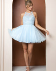 Short Tulle Dress with Embroidered Applique Bodice_B652