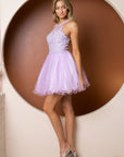 Short Tulle Dress with Embroidered Applique Bodice_B652