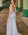 M1702_SILVER_3518108