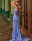 H1671_PERIWINKLE_3518001
