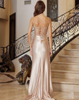 S1721_CHAMPAGNE_4943559