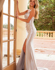 R1689_SILVER_3518181