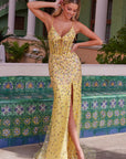 R1686_YELLOW_3518162