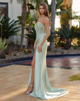 R1811_SAGEGREEN_4943494