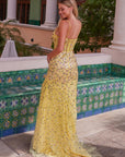 R1686_YELLOW_3518163