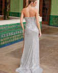 G1652_SILVER_3517924