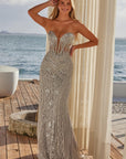 R1695_SILVER_3548256