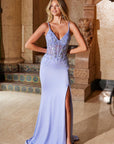 H1683_PERIWINKLE_3518027