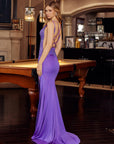 H1873_PLUM_4943244
