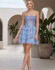 G7043_PERIWINKLE_5536196