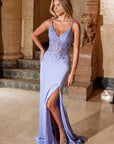 H1683_PERIWINKLE_3518028