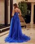 H1885_ROYALBLUE_4943328