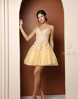 SWEETHEART SHORT BABYDOLL DRESS_R707