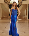 E1894_ROYALBLUE_4942985