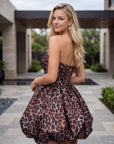 Q7124_BROWNLEOPARD_5536235
