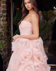 JQ1037_PEACH_4964730