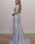 D1768_SILVER_4942964