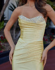 M1756_LEMON_4943407