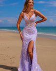 C1612_LILAC_3517275