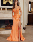 H1875_ORANGE_4943269
