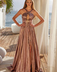 Y1548_BRONZE_3548236